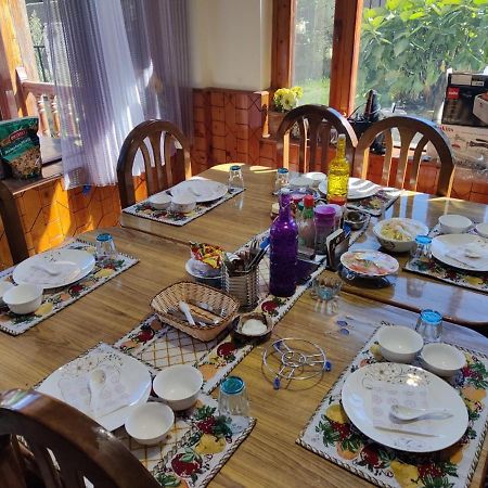 Aroma Taru Villa / Cottage ,Manali 外观 照片