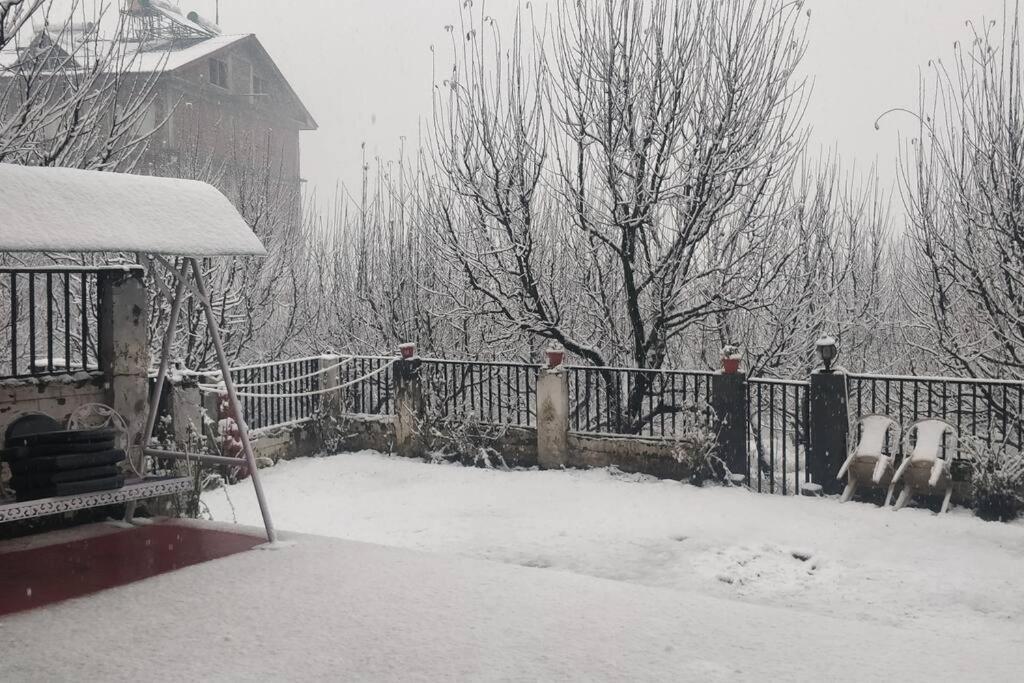 Aroma Taru Villa / Cottage ,Manali 外观 照片