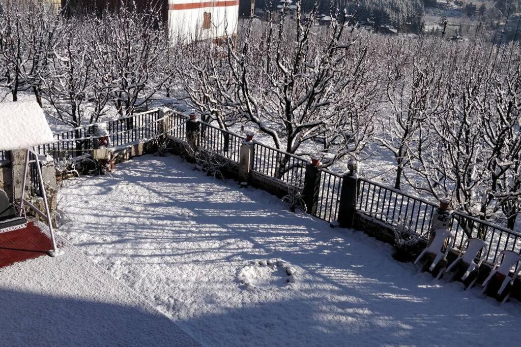 Aroma Taru Villa / Cottage ,Manali 外观 照片