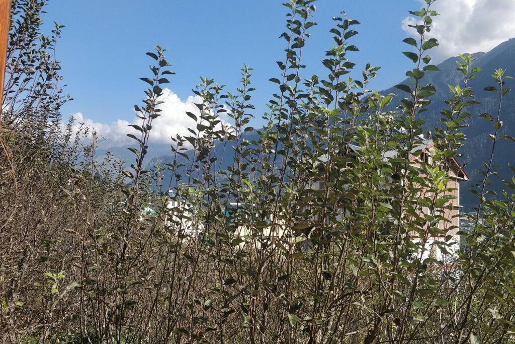 Aroma Taru Villa / Cottage ,Manali 外观 照片