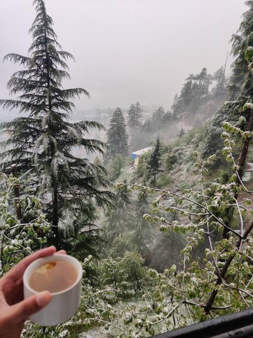 Aroma Taru Villa / Cottage ,Manali 外观 照片