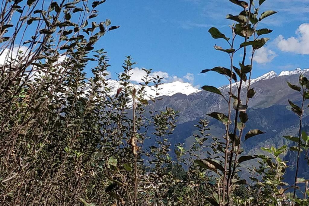 Aroma Taru Villa / Cottage ,Manali 外观 照片